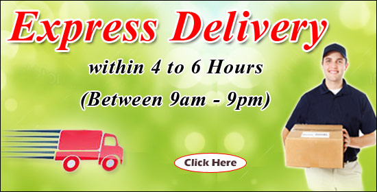  Express Delivery