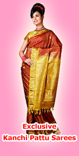 Exclusive Kanchi Pattu Sarees