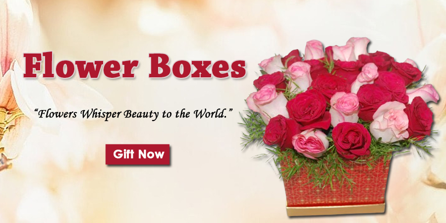Flower Boxes