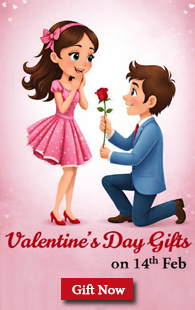 Valentine's Day Gifts