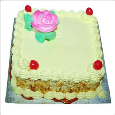 Delicious Butterscotch Cake in Square  Same Day  Midnight Delivery   CakenGiftsin