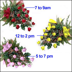 "Perfect combination - Click here to View more details about this Product