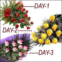 "Friend Glass Box - 311- 001 - Click here to View more details about this Product