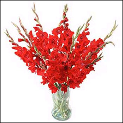 "50 Reasons why your Birthday is Special -code002 - Click here to View more details about this Product