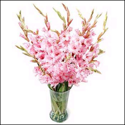 "Heart - PST-926(SMALL) -22 - Click here to View more details about this Product