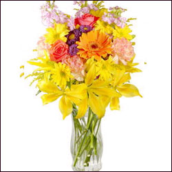 "Birthday Teddy With Bag -1267-code002 - Click here to View more details about this Product
