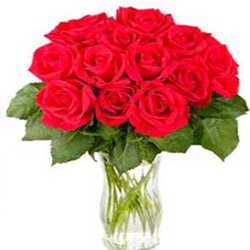 "Red  Roses Cluster - Click here to View more details about this Product