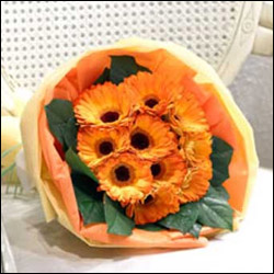 "Love Treat - Click here to View more details about this Product