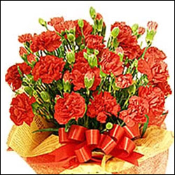 "Everlasting Love for MOM - Click here to View more details about this Product