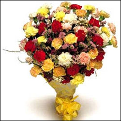 "Carnation Carnival - Click here to View more details about this Product