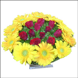 "Aayush Kidney Check-Up - Rs 1400 - Click here to View more details about this Product