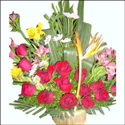 "Live Recorded Blessings from Pandit - Click here to View more details about this Product