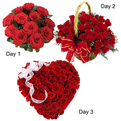 "Lovely Days - Click here to View more details about this Product