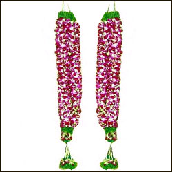 "Lakme Eyes Mascara - B013 - Click here to View more details about this Product