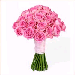 "Anniversary Delight - Click here to View more details about this Product