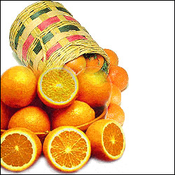 "Oranges - 24no - Click here to View more details about this Product