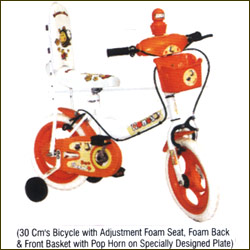 productname