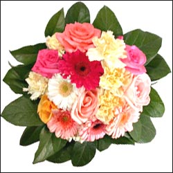 "Simply The Best - Click here to View more details about this Product