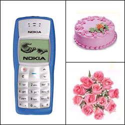 productname