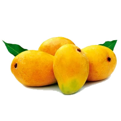 productname