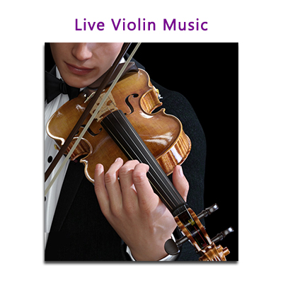 "Live Violin Music - Click here to View more details about this Product